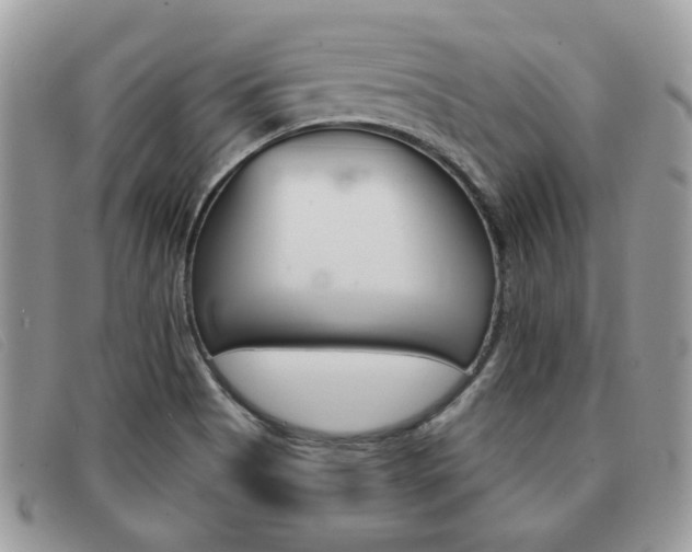 X0000091591513200708200940