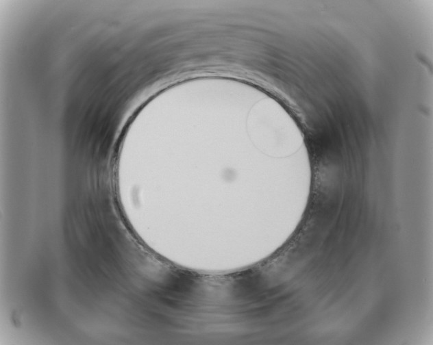 X0000091591514200708200940