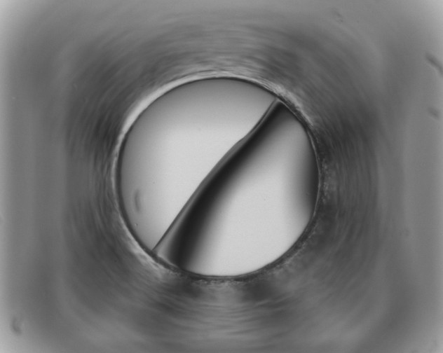 X0000091591516200708200940