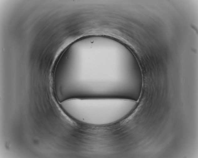X0000091591517200708200940