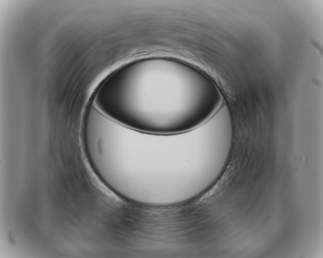 X0000091591518200708200940