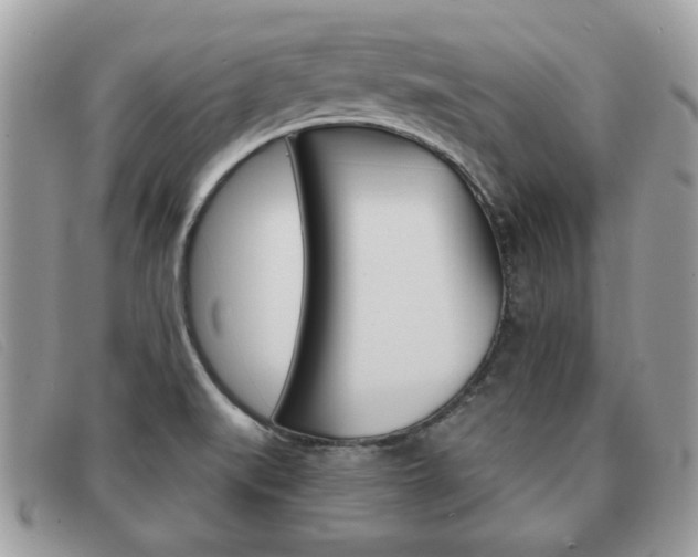 X0000091591519200708200940
