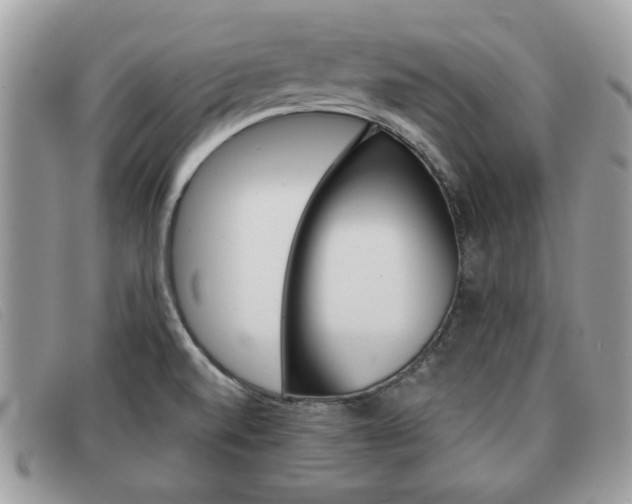 X0000091591520200708200940