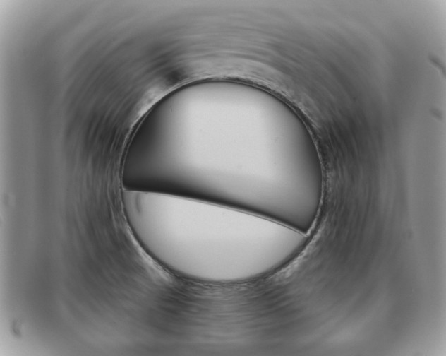 X0000091591521200708200940