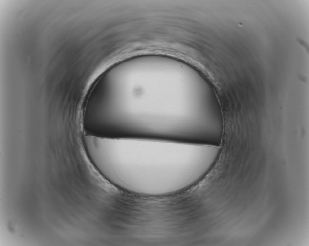 X0000091591522200708200940