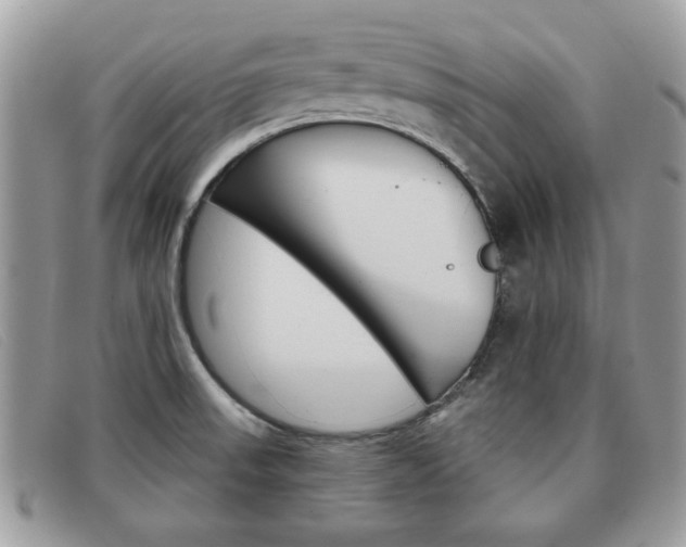 X0000091591523200708200940