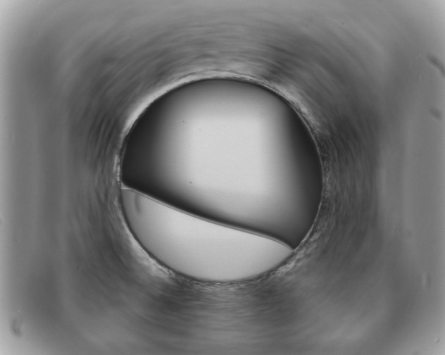 X0000091591524200708200940