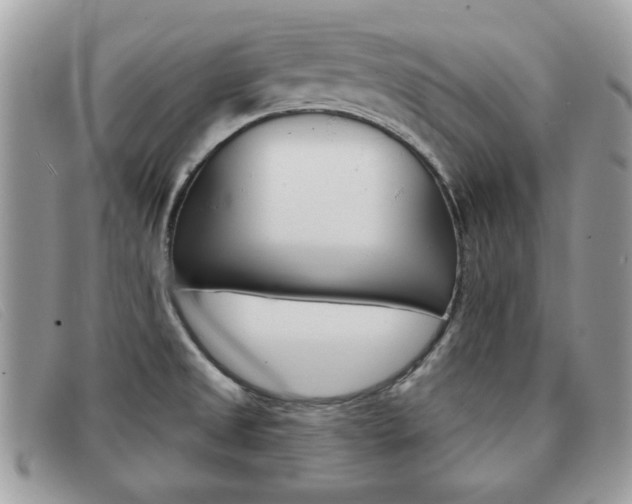 X0000091591525200708200940