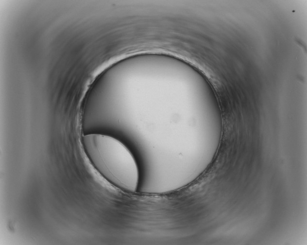 X0000091591526200708200940