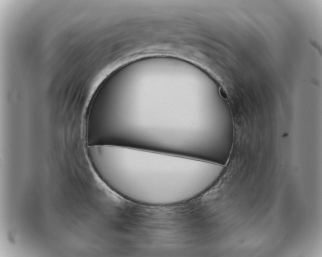 X0000091591527200708200940