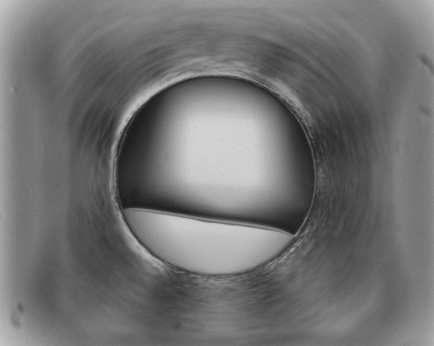 X0000091591528200708200940