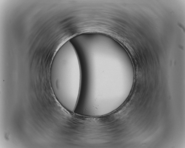 X0000091591529200708200940