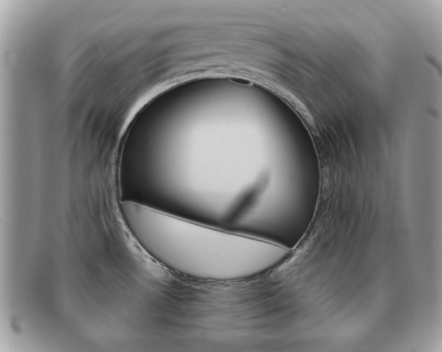 X0000091591530200708200940