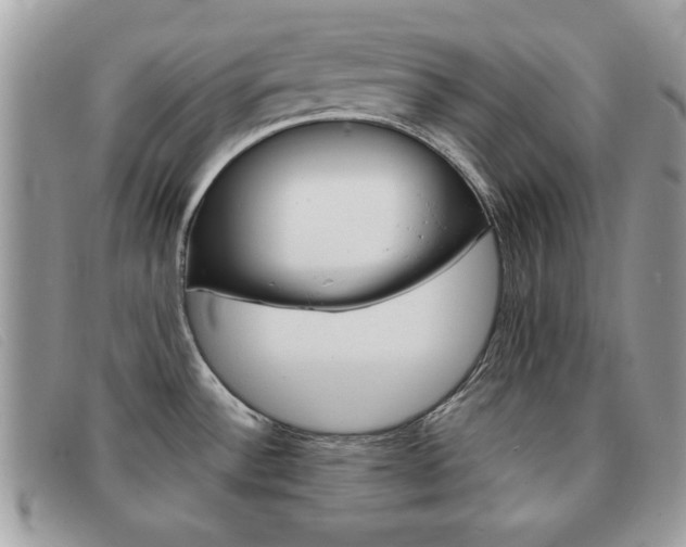 X0000091591532200708200940
