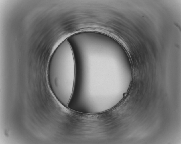 X0000091591533200708200940