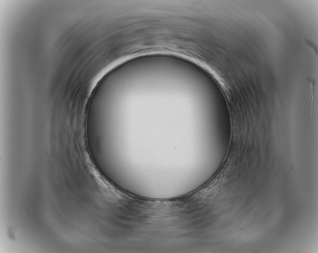 X0000091591534200708200940