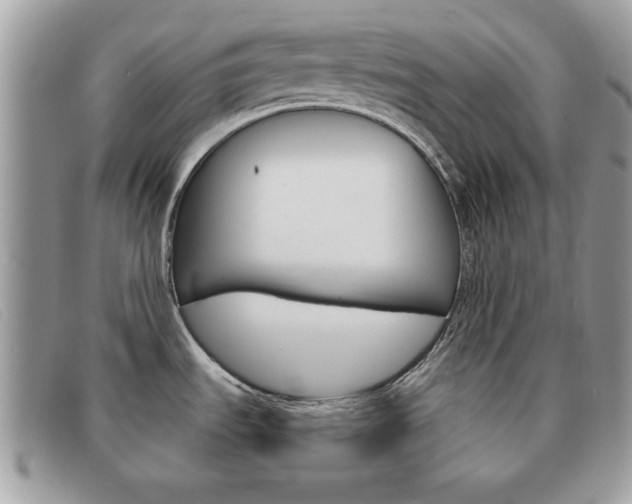 X0000091591535200708200940