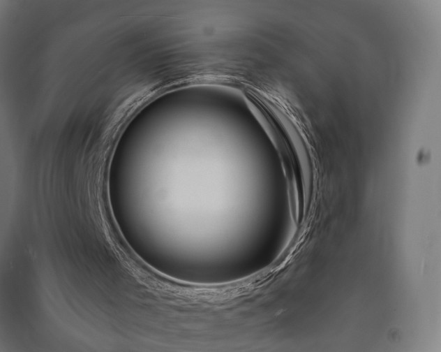 X0000091590001200708201240