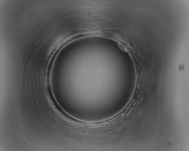 X0000091590002200708201240