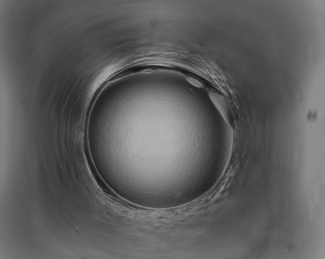 X0000091590003200708201240
