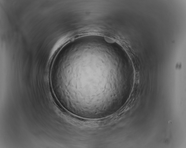 X0000091590004200708201240