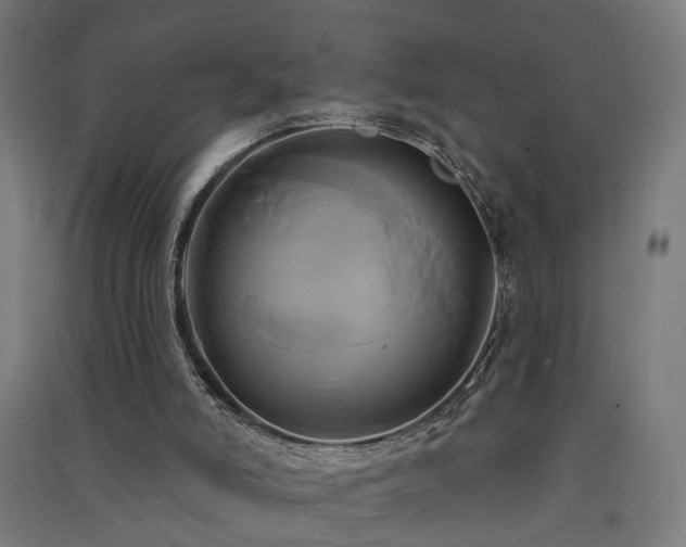 X0000091590006200708201240