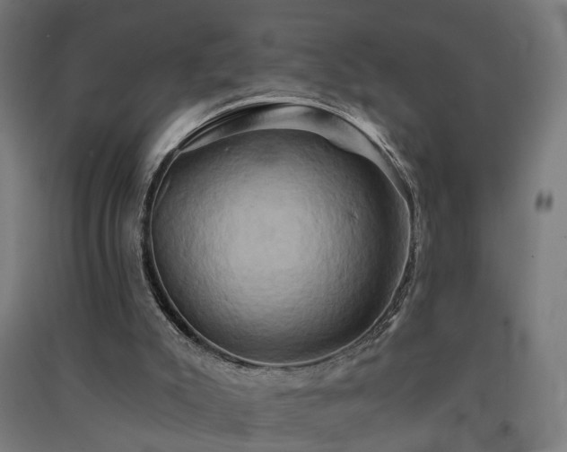 X0000091590007200708201240