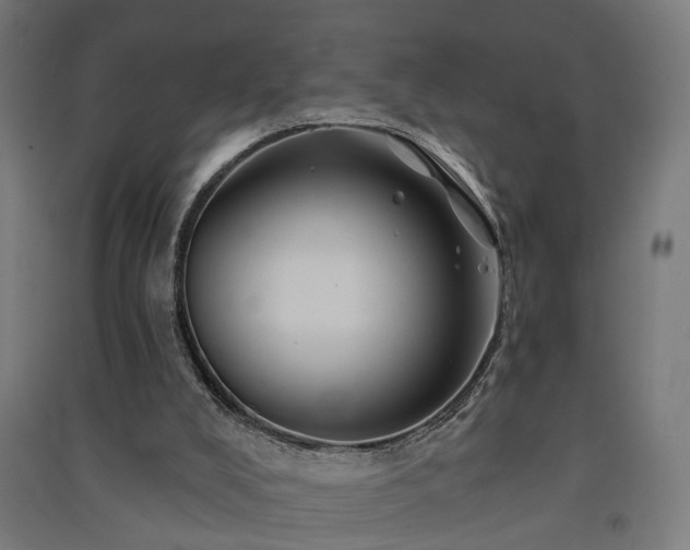 X0000091590008200708201240