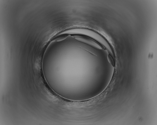 X0000091590009200708201240