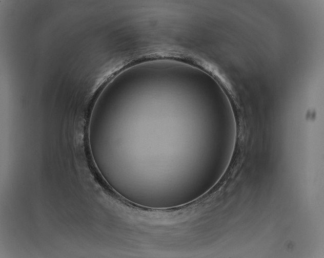 X0000091590010200708201240