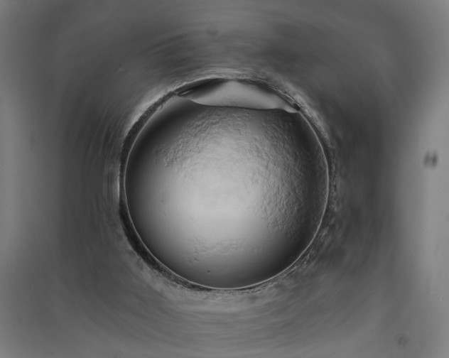 X0000091590011200708201240