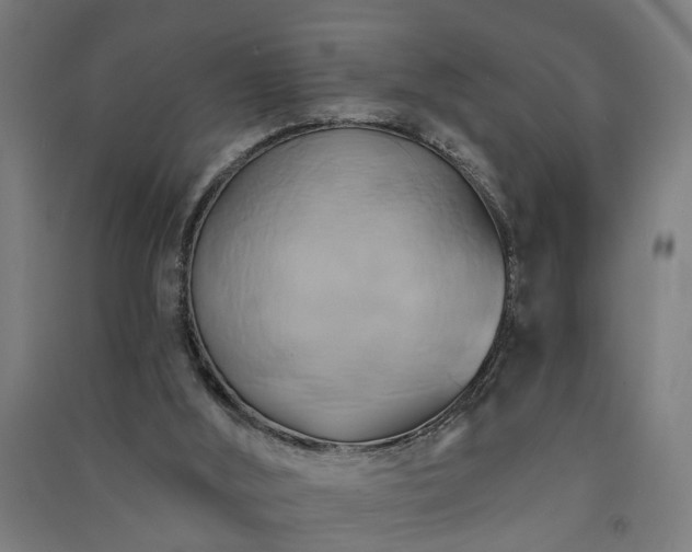 X0000091590012200708201240