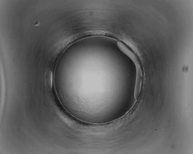 X0000091590013200708201240