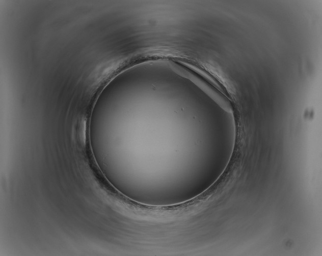 X0000091590014200708201240