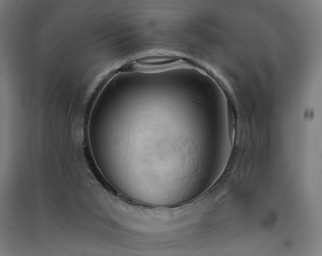 X0000091590015200708201240