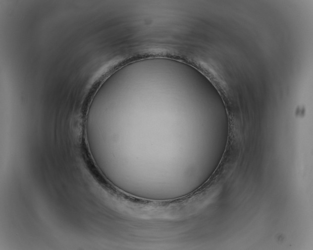 X0000091590016200708201240