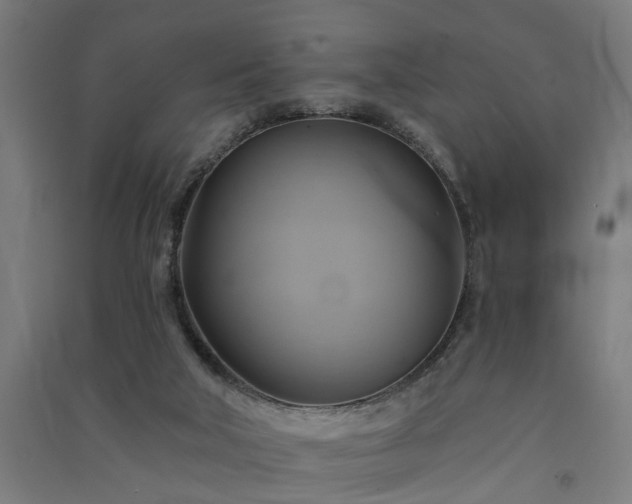 X0000091590018200708201240