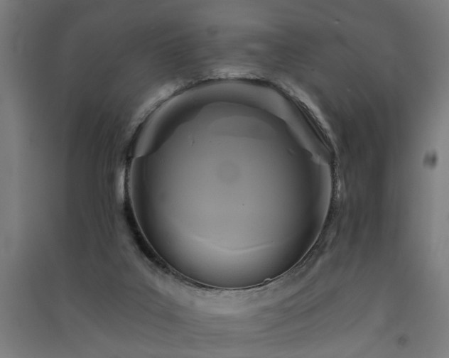 X0000091590019200708201240