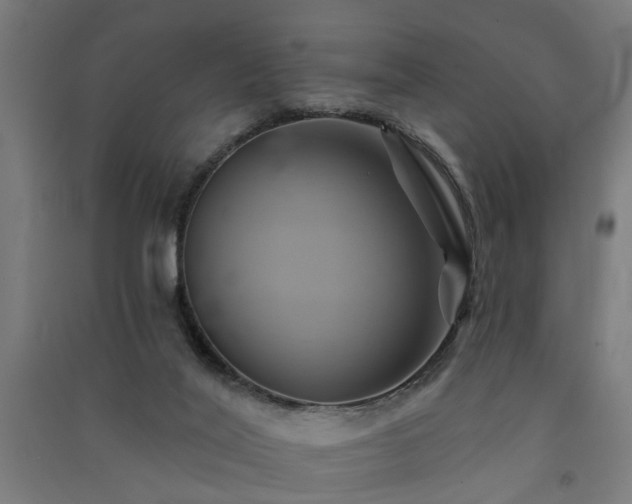X0000091590020200708201240