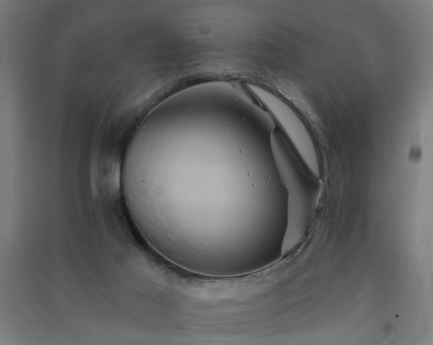 X0000091590021200708201240