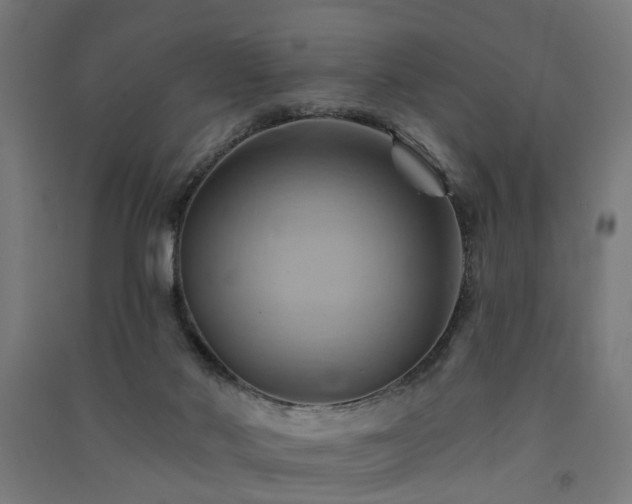X0000091590022200708201240