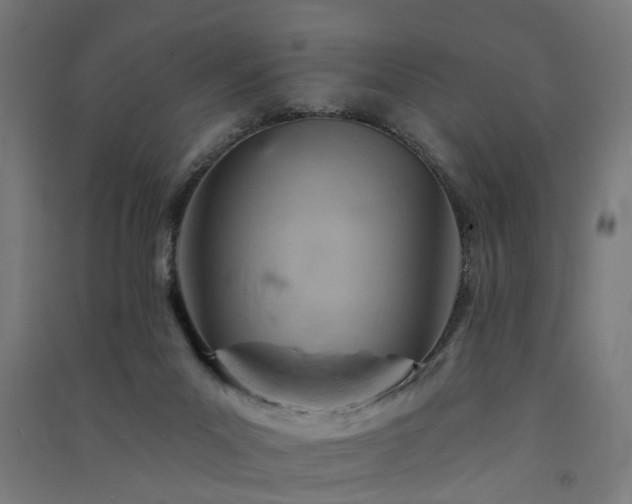 X0000091590023200708201240