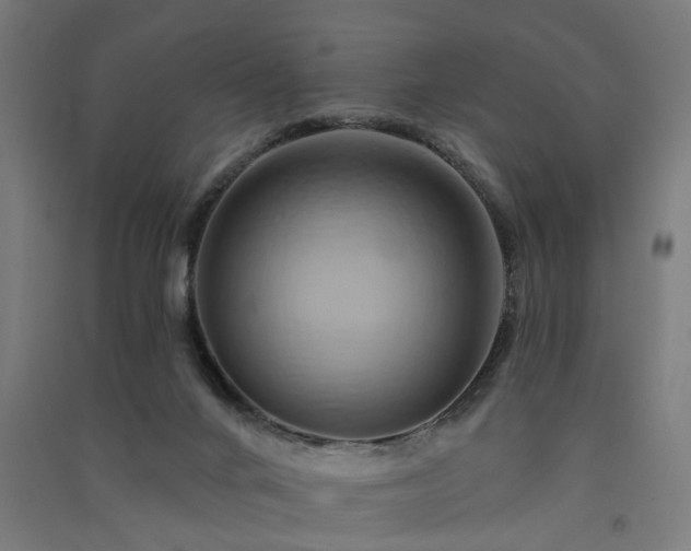 X0000091590024200708201240