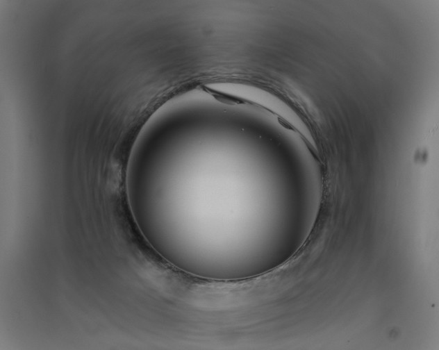 X0000091590025200708201240