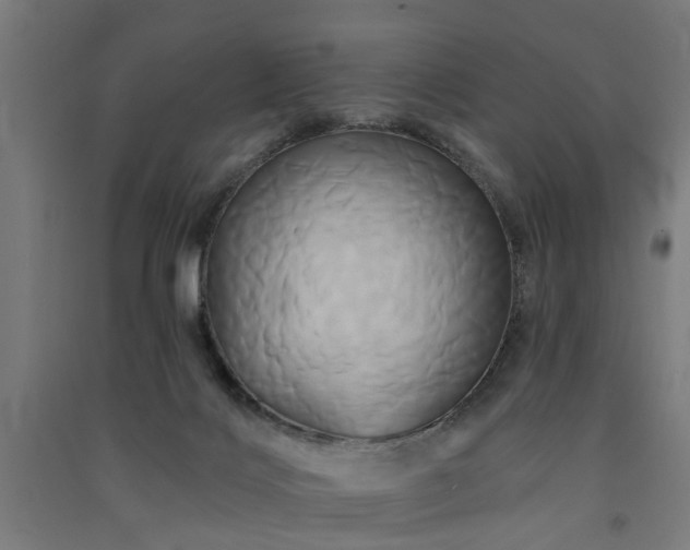 X0000091590028200708201240