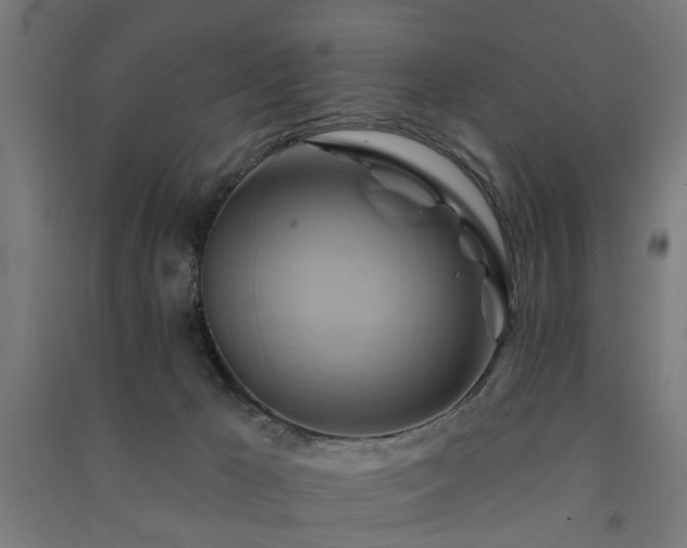X0000091590029200708201240