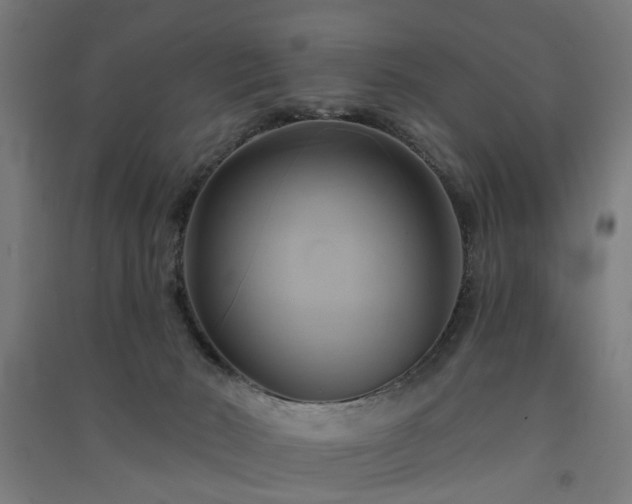 X0000091590030200708201240