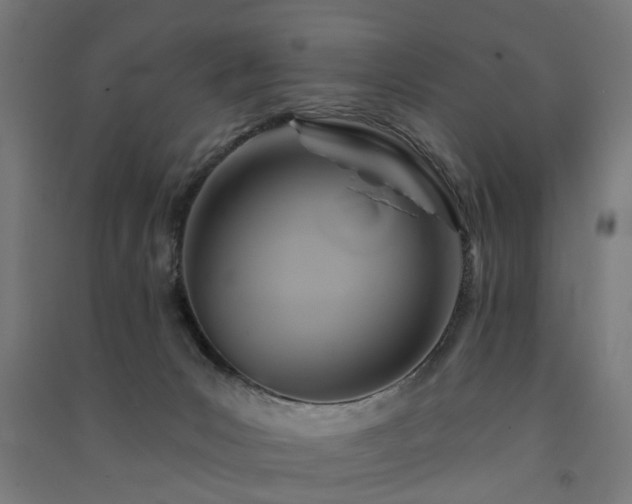 X0000091590031200708201240