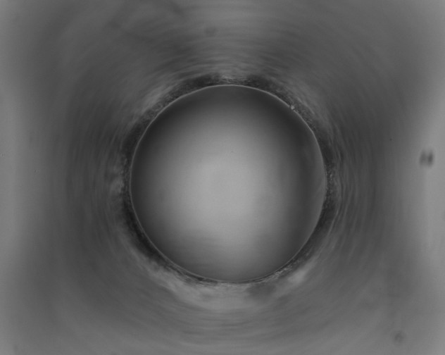 X0000091590032200708201240