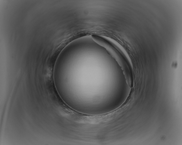 X0000091590033200708201240